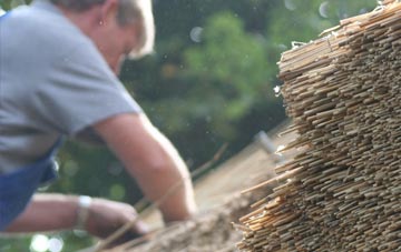 professional Wardpark thatchers